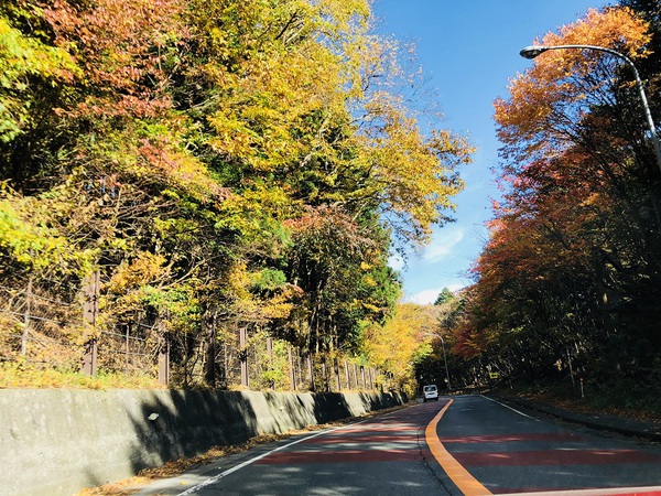 河口湖　へ　　　ＧＯ　－　　☆