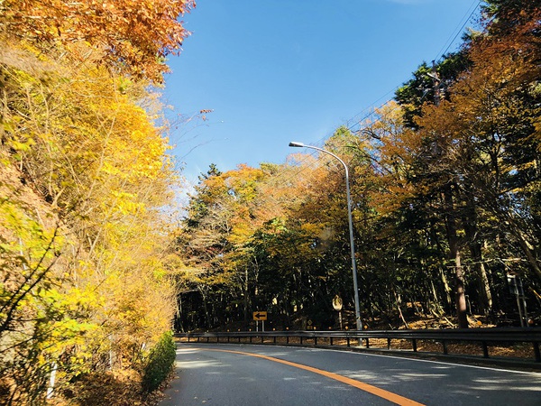 河口湖　へ　　　ＧＯ　－　　☆
