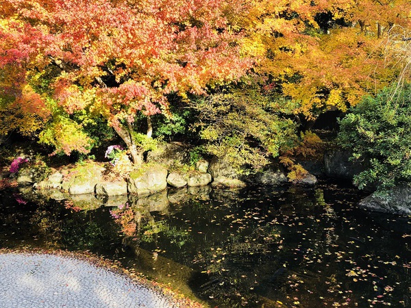 会津武家屋敷　　へ　　行ってきたー　　☆