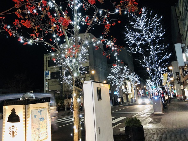 夜の　　国宝　　松本城　　☆