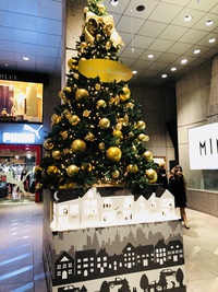 表参道　　クリスマス～　　☆