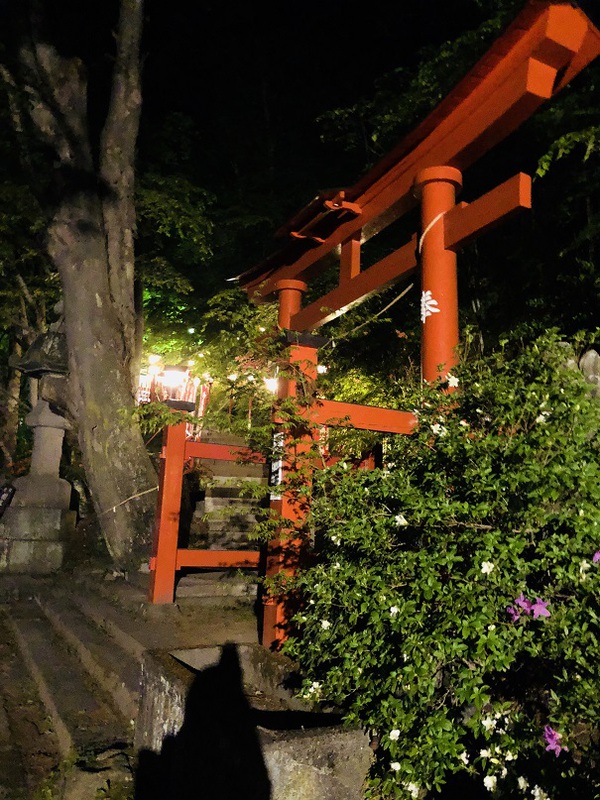 鼻顔稲荷神社　　さん　　　を　　　参拝　　　☆