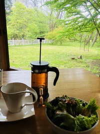 エロイーズカフェ　　さん　　で　　ランチ　　　☆