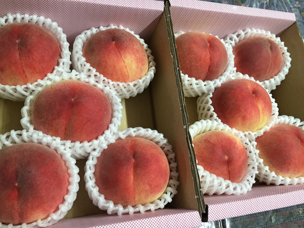 くだもの王国　　　山梨　　で　　　お買い上げ～　　☆