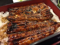うなぎ　　八百徳　　さん　　で　　ランチ　　☆