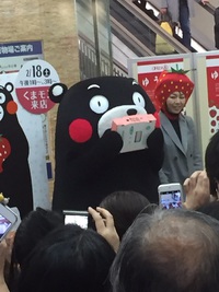 くまもん　　に　　遭遇　～　　☆