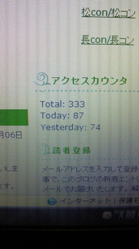 ３３３