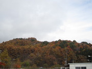 今日の景色（11/10）