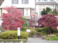 紅葉が始まりました