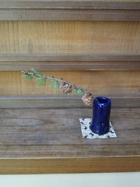 カラ松松ぼっくり