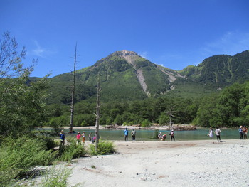 tachigare