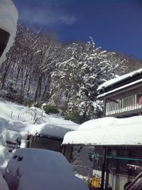 正月ぼっち