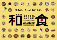 松本市博物館　特別展「和食」行ってきました。