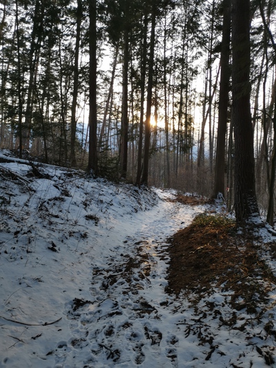 鷹狩山散歩