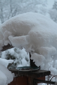 大雪だ！