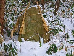 ご無沙汰？　しています　＾＾