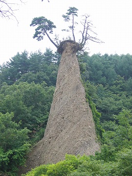 里山歩き