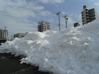 記録的大雪