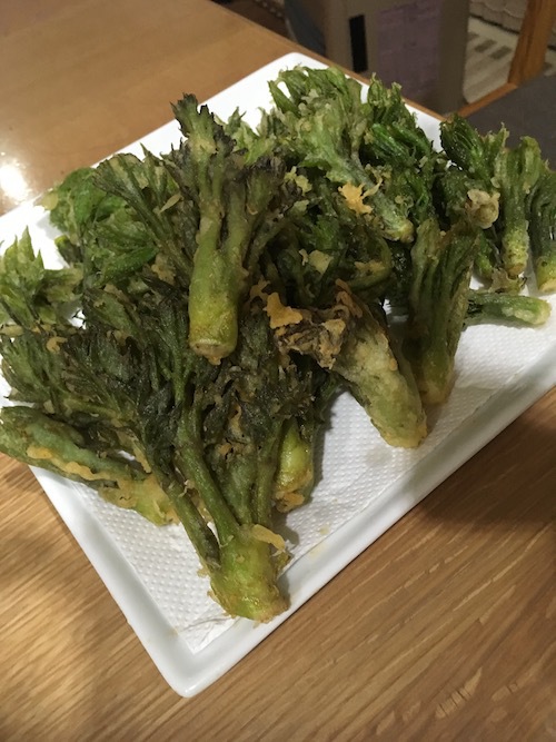 山菜採り