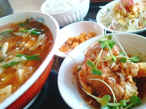 たな華 @長野市大豆島 日替り「野菜と豆腐のピリ辛そば・油林鶏・半ライス」700円