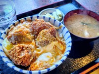 関英ドライブイン @山ノ内町平穏 「ヒレカツ丼」1,000円