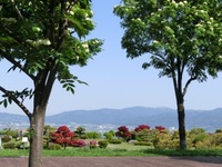 長野県諏訪の観光スポット諏訪湖＆強命水 活 無料体験
