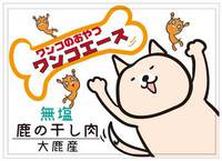 ワンコエース