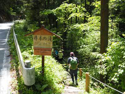 樽本の滝の遊歩道
