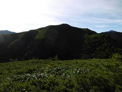 南アルプス、三伏峠小屋の窓。