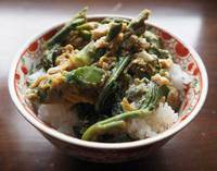 タラの芽とウドの山菜丼