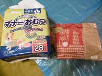 メル、癲癇発作を起こす