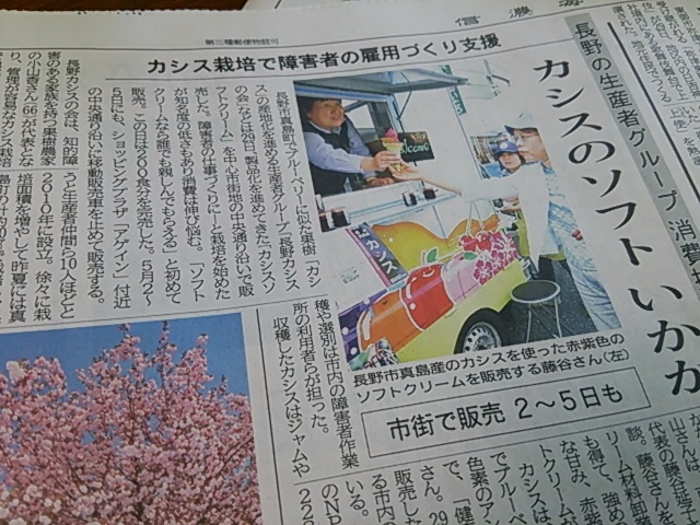 カシスの新聞記事