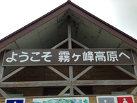 霧ヶ峰高原花まつり（諏訪市）