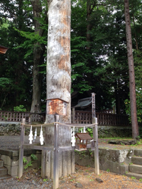 はじめまして