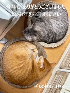 ありがとうございました