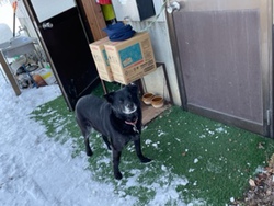 雪掻き…疲れるね！