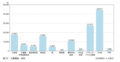 雪のない睦月、令和7年（2025年）