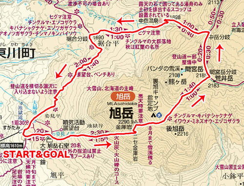 北海道大雪山連峰の最高峰標高2291m旭岳登山　天空に咲き誇るチングルマの大群生