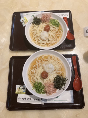 ぶっかけ紀州梅おろしうどん　＠あご出汁うどん こがね丸中部国際空港セントレア店