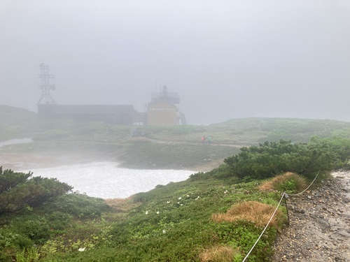 北海道大雪山連峰の最高峰標高2291m旭岳登山　天空に咲き誇るチングルマの大群生