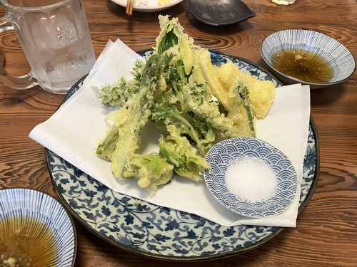 刺身盛り合わせ＆山菜天ぷら盛り合わせ＆揚げ出し豆腐＆豚肉梅肉フライ　大衆割烹　桂　＠大町市グルメ