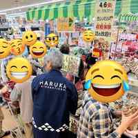 月刊★きのこっく -2025年4月号-