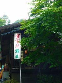 野麦