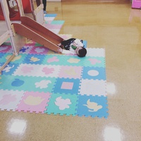 最近のブーム
