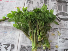 コシアブラご飯