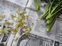 コシアブラご飯