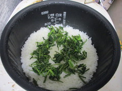 コシアブラご飯