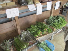 となりの村の道めぐり