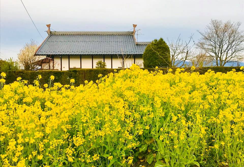 【心癒される日本の風景】