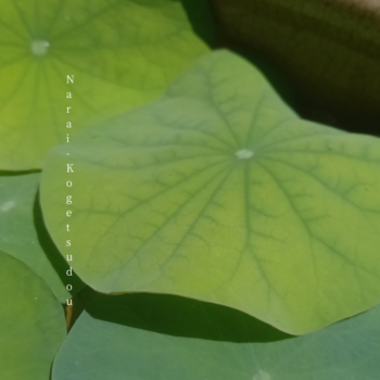 お疲れさまでした